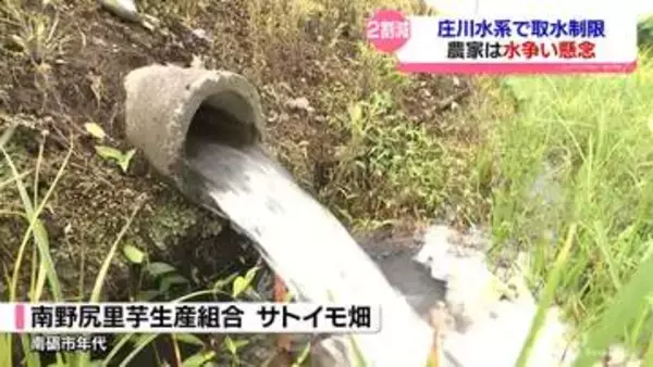 庄川水系の取水制限　上流の御母衣ダム（岐阜県）は？下流ではコメや特産のサトイモへの影響懸念　富山県砺波市・南砺市