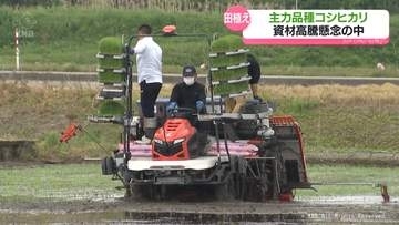 富山県内コシヒカリ田植え最盛期　中東情勢への不安も