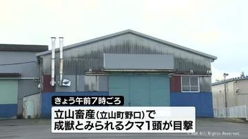 立山町の中心部近くでクマ　町が緊急銃猟で駆除