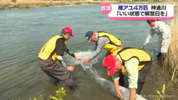 「いい状態で解禁日を」神通川に稚アユ４万匹放流　富山市