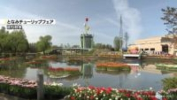 来年のチューリップフェア　大人料金値上げ　内容はより充実へ　砺波市