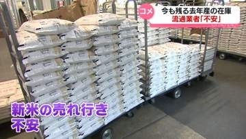 新米の季節も…残る去年産のコメの在庫　流通業者「不安」