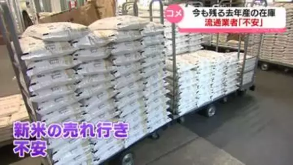 新米の季節も…残る去年産のコメの在庫　流通業者「不安」