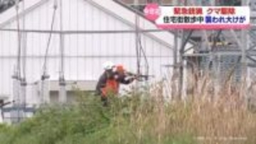「犬がほえてくれたからクマが逃げた」散歩中の女性がクマに襲われ大けが　富山市北部の住宅街　緊急銃猟でクマ１頭を駆除