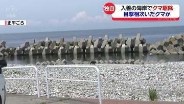 【独自】入善の海岸でクマ駆除　目撃相次いだクマか…住民安堵