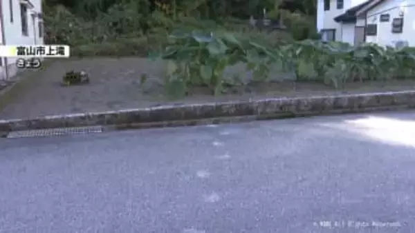 「こんな近いところに出るなんて怖い」県内でクマ出没相次ぐ　警戒を