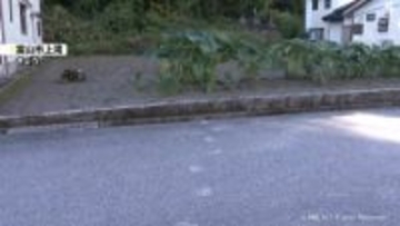 「こんな近いところに出るなんて怖い」県内でクマ出没相次ぐ　警戒を