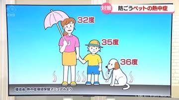 肉球熱い！気をつけたいペットの熱中症　富山県