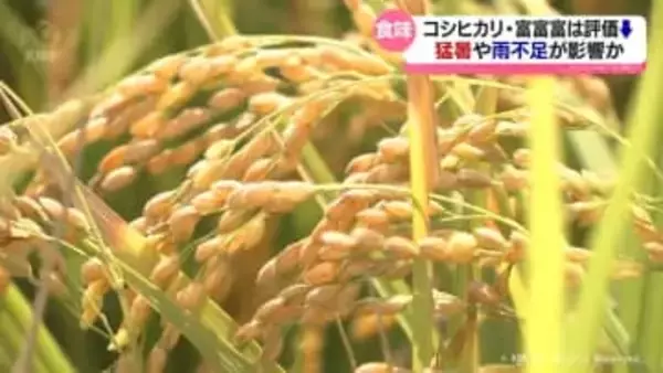 食味ランキング公表　てんこもり　7年ぶりに最高評価「特A」