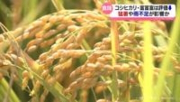 食味ランキング公表　てんこもり　7年ぶりに最高評価「特A」