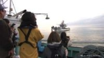 「ぷりぷりでおいしい」白えび漁観光船　３年ぶりに再開　新湊漁港
