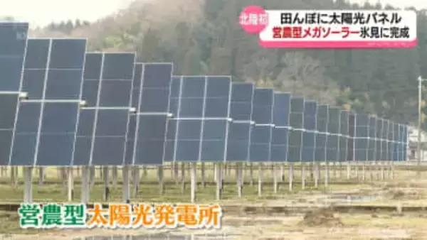 北陸初　氷見市に営農型メガソーラーが完成