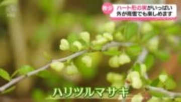 気象予報士おすすめ「雨や雪の日でも楽しめる場所」で見つけたハート