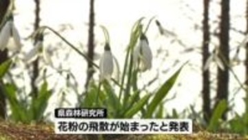 富山県内　スギ花粉の飛散始まる　県森林研究所が発表
