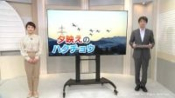 夕映えのハクチョウ　きのう富山市で視聴者撮影　三連休は気温上昇