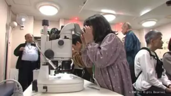 ホタルイカの生態を学んで　すしで味わおう　魚津水族館　「勉強して食べるって面白い」