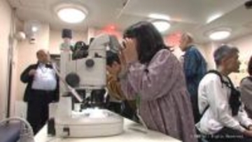 ホタルイカの生態を学んで　すしで味わおう　魚津水族館　「勉強して食べるって面白い」