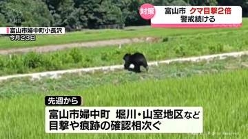 富山市でクマの目撃倍増　警戒続ける