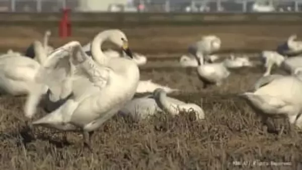 富山県内は各地で20度を超える陽気に　富山市では住宅火災