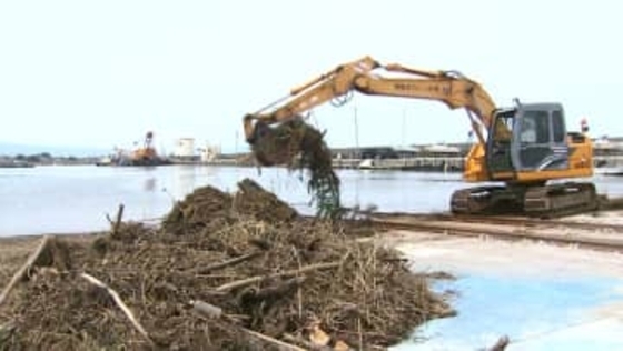 漁港の流木 撤去作業