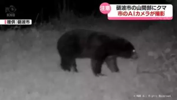 ＡＩカメラにクマの姿　砺波市が注意喚起　富山県