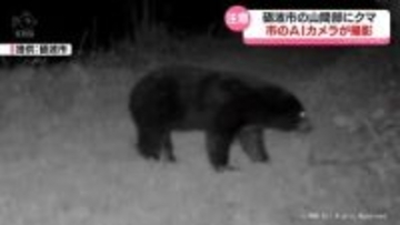 ＡＩカメラにクマの姿　砺波市が注意喚起　富山県
