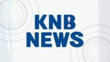 【クマ】富山県内で２日夕方に目撃相次ぐ　各地で警戒呼びかけ