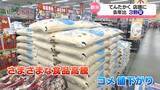 「てんたかく新米　去年より３割安く　富山県内で販売始まる」の画像1