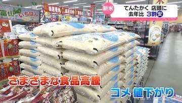 てんたかく新米　去年より３割安く　富山県内で販売始まる