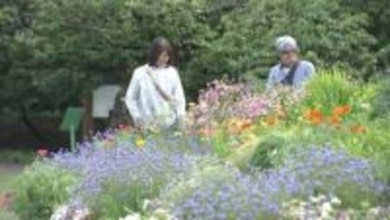 県民ふるさとの日　県の施設無料開放で　大型連休なみの賑わい　富山