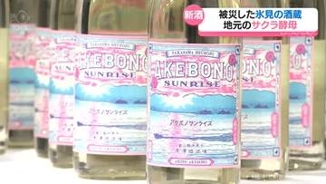 陽はまた昇る！能登半島地震被災の酒蔵が新酒発表　地元固有種サクラから酵母　富山県氷見市