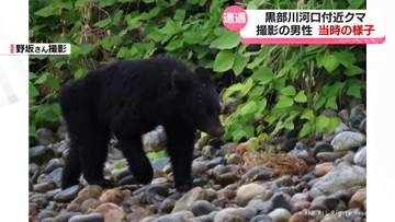 「海に近い場所にもクマが来ることを知ってほしい」黒部川河口付近でクマを撮影した男性