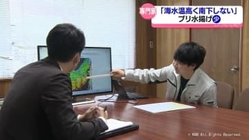ブリ水揚げ低調「海水温が高くて南下していないのでは」　専門家