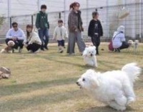 「明石T3テラス」オープン　明石港東外港地区のにぎわい創出へ　イベント用など六つのエリア設定