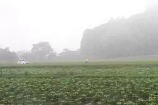 篠山盆地に季節はずれの朝霧　城下町や田園地帯が幻想的な情景に