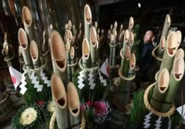 笑う「門松」に福来たれ　兵庫・小野で生産最盛期　今年の「口」は景気弾むよう大きめに