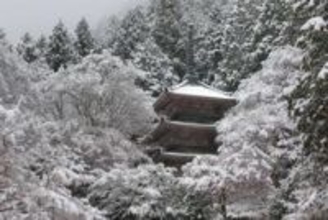 寒気で冷え込み、兵庫県は北部中心に積雪　紅葉シーズン終えた寺は水墨画のような光景に
