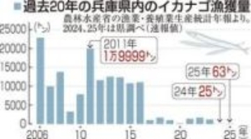 不漁のシンコ漁、大阪湾で3年連続休漁　播磨灘は17日解禁、結果見て18日以降続けるか判断