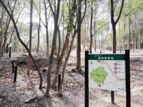 神戸市初募集「樹林葬墓地」申し込み1000人超　想定は80人、ニーズ踏まえ応募者全て受け入れへ