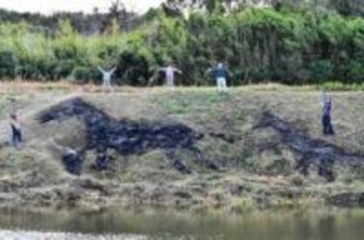 農地の斜面駆ける「ひのえ」馬　「野焼きアート」でお目見え　兵庫・洲本