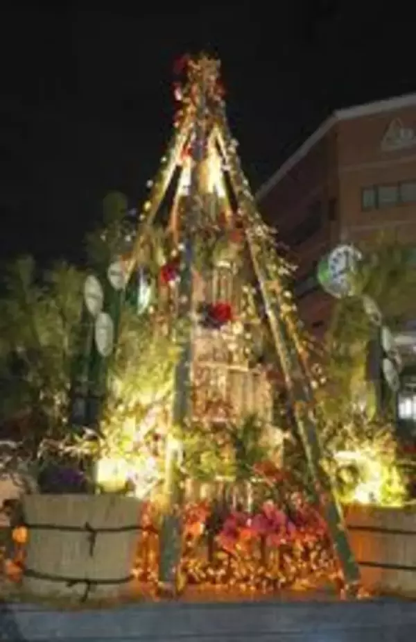 新年祝う門松　放置竹林のクリスマスツリーから衣替え　三田駅前でライトアップ
