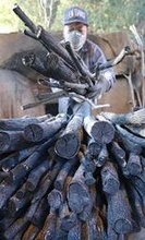 火入れから1週間、銘品「一庫炭」窯出し　5月まで3トン生産し全国出荷　兵庫・川西