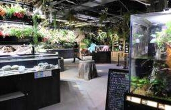 水族館「アトア」が新展示　開館5周年、生態系を表現　神戸