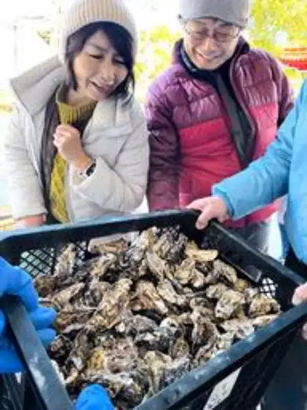 不漁の播磨灘のカキ、一般向け販売ようやくスタート　直売所など「うま味十分」　相生