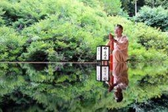 新緑のドウダンツツジ、豊岡・安国寺で公開始まる　ナツツバキも見頃間近　28日まで