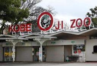 アジアゾウ「マック」天国へ　阪神・淡路大震災直後に王子動物園に来園　同園のゾウは1頭に