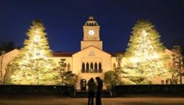 関学大キャンパスに聖なる輝き　巨大なヒマラヤスギ2本がXマスツリーに　兵庫・西宮