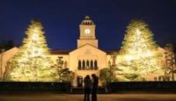 関学大キャンパスに聖なる輝き　巨大なヒマラヤスギ2本がXマスツリーに　兵庫・西宮