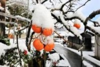 兵庫各地、今季一番の冷え込み　北部で積雪、兎和野高原15センチ　5日も山間部で雪か