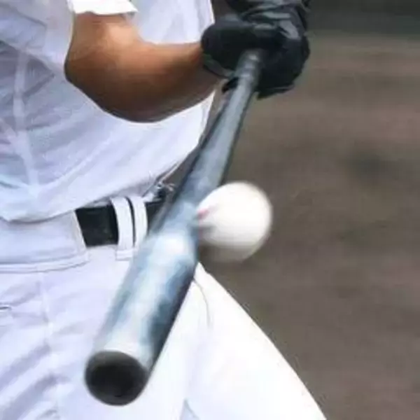 春季近畿高校野球　報徳が12年ぶり決勝進出　天理にコールド勝ち　31日に智弁和歌山と対戦